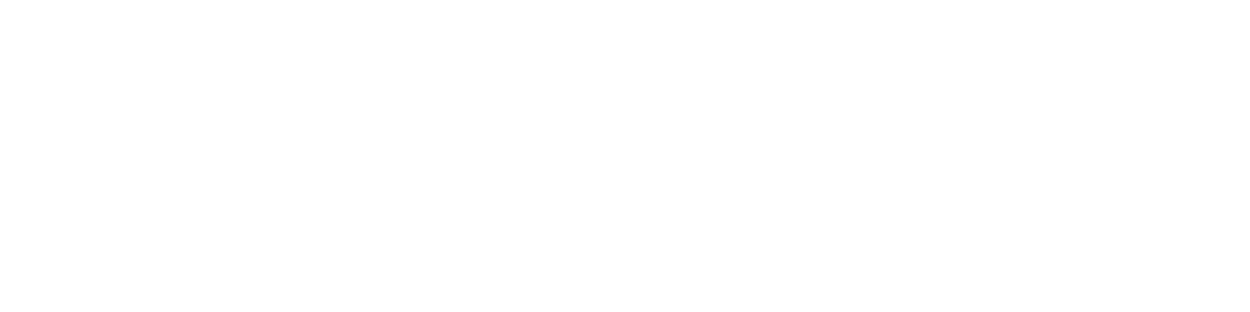 Valky Dev